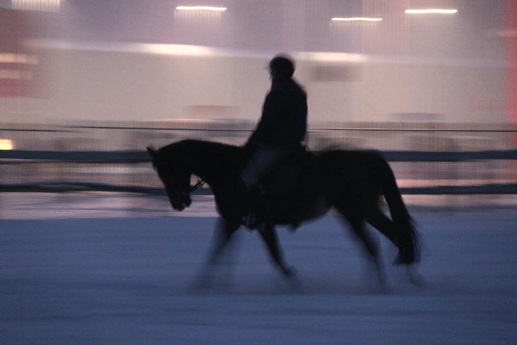 zimowy galop