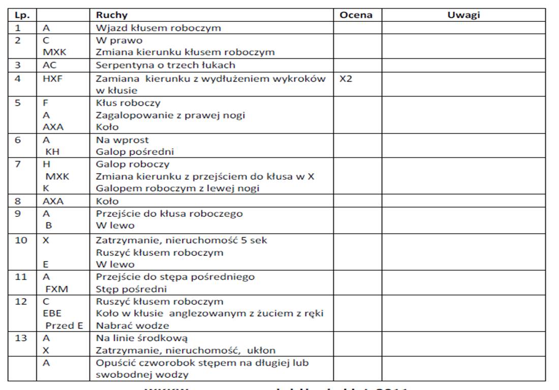 program L1