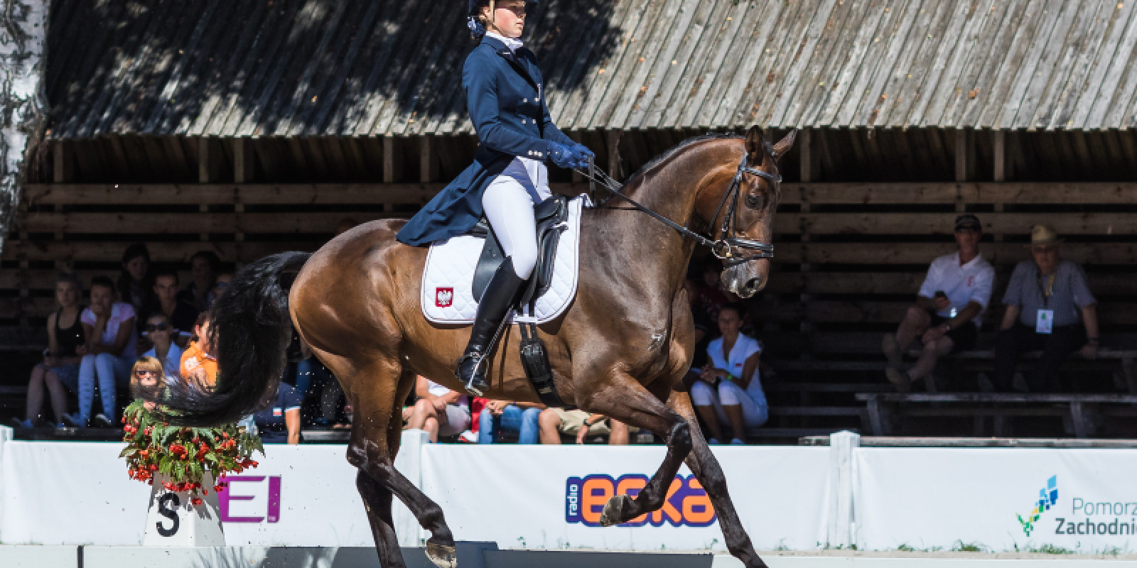 Rider: Malgorzata Cybulska Nationality: PolandHorse: Sir ScottyFather: StalypsoStudbook: HANN - Hannoveraner Verband e. V.Sex: GeldingYear of Birth: 2008Mother: Caprice DRP Father of Mother: CambertinEvent: FEI European Eventing Championship for JuniorsDiscipline: Eventing - DressageClass: CCI1*Location: Baily BorCountry: PolandDate: 13 August 2015