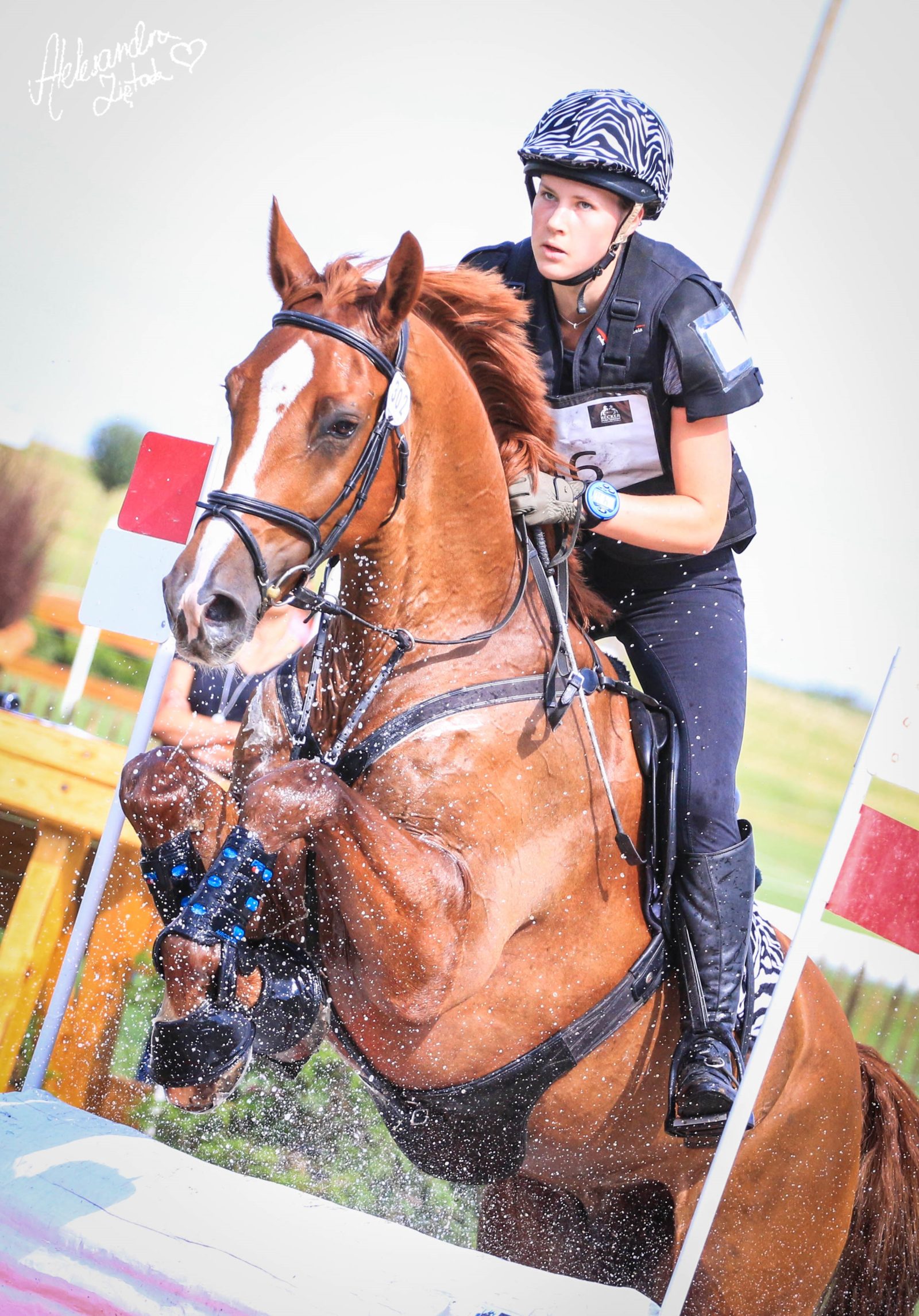 gosia-cybulska_-chenaro6