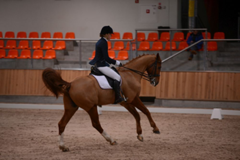 16176592_1015260831911598_1105485326_n