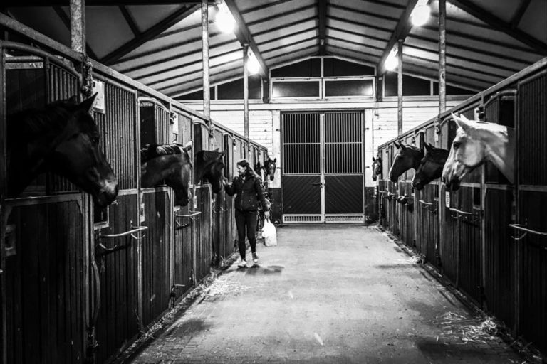 42311001_1787609724688860_8052693874725879808_n